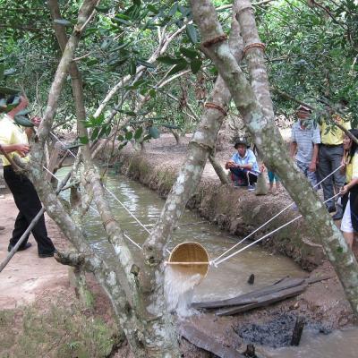 ĐẶC SẢN QUÊ HƯƠNG TIỀN GIANG